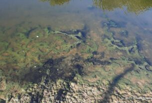 Новини України - Річку в Луганську окупанти перетворили на токсичний колектор - ЦНС