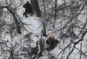 Новини України - Росіяни розстріляли двох полонених на Донеччині