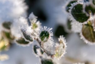 Новини України - Синоптики розповіли, якою буде погода на Різдво