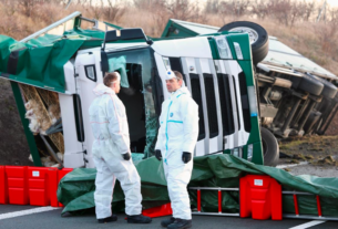 Новини світу - Тисячі курей розбіглися з місця масштабної ДТП у Німеччині