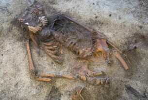 Технології - У Швеції знайшли поховання жінки-вікінга з мушлею в роті