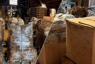 Новини України - Викрито постачальників тютюну для підпільної фабрики на Полтавщині