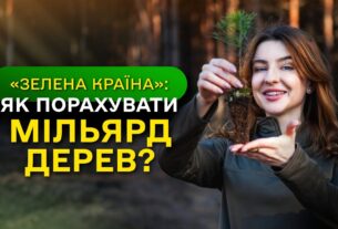 МІЛЬЯРД ДЕРЕВ зʼявився в Україні / як ДП "Ліси України" реалізували програму ЗЕЛЕНА КРАЇНА?