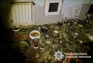 Новини України - Загибель понад 50 котів на Київщині: стали відомі нові деталі