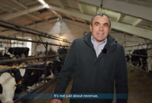 ARISE: Історії стійкості – відеопроєкт про результати підтримки українського бізнесу