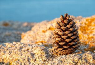 Новини культури - Гороскоп для всіх знаків зодіаку на 13 січня 2026 року