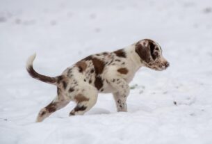 Новини культури - Гороскоп для всіх знаків зодіаку на 14 січня 2026 року