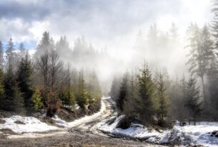 Новини культури - Гороскоп для всіх знаків зодіаку на 16 січня 2026 року