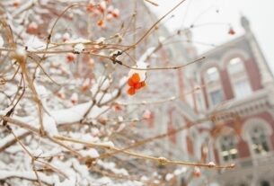 Новини бізнесу - Нацбанк знову зміцнив курс гривні