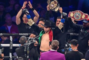 Новини спорту - WBA представила нову версію рейтингу важковаговиків